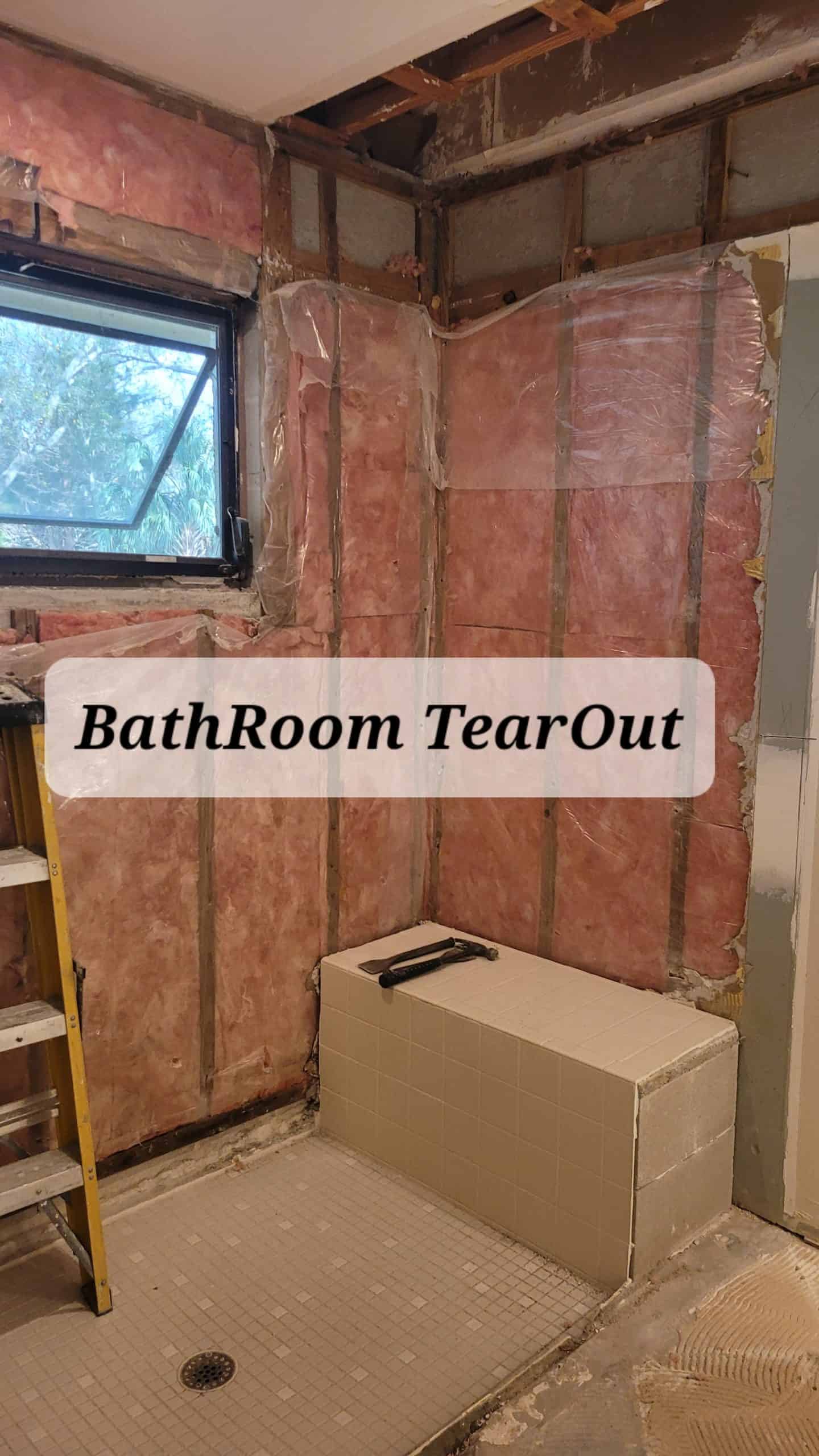 Bathroom Demolition